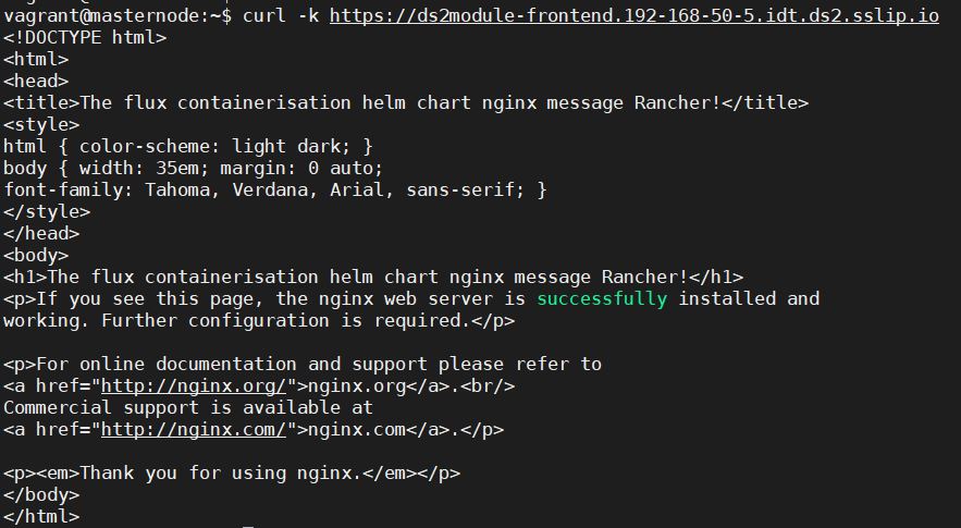 DS2 CONT helmnginx