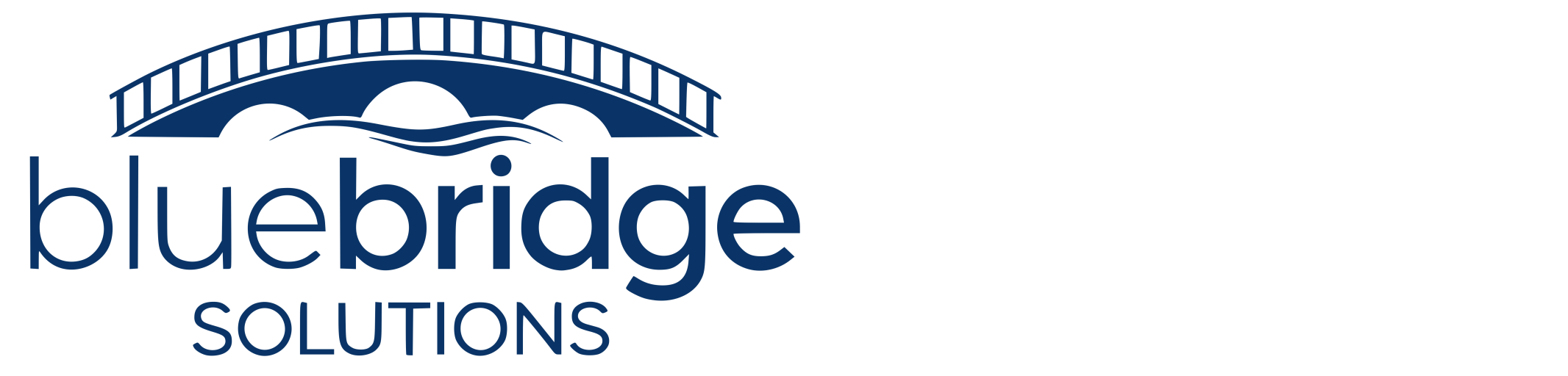 BlueBridgeSolutions