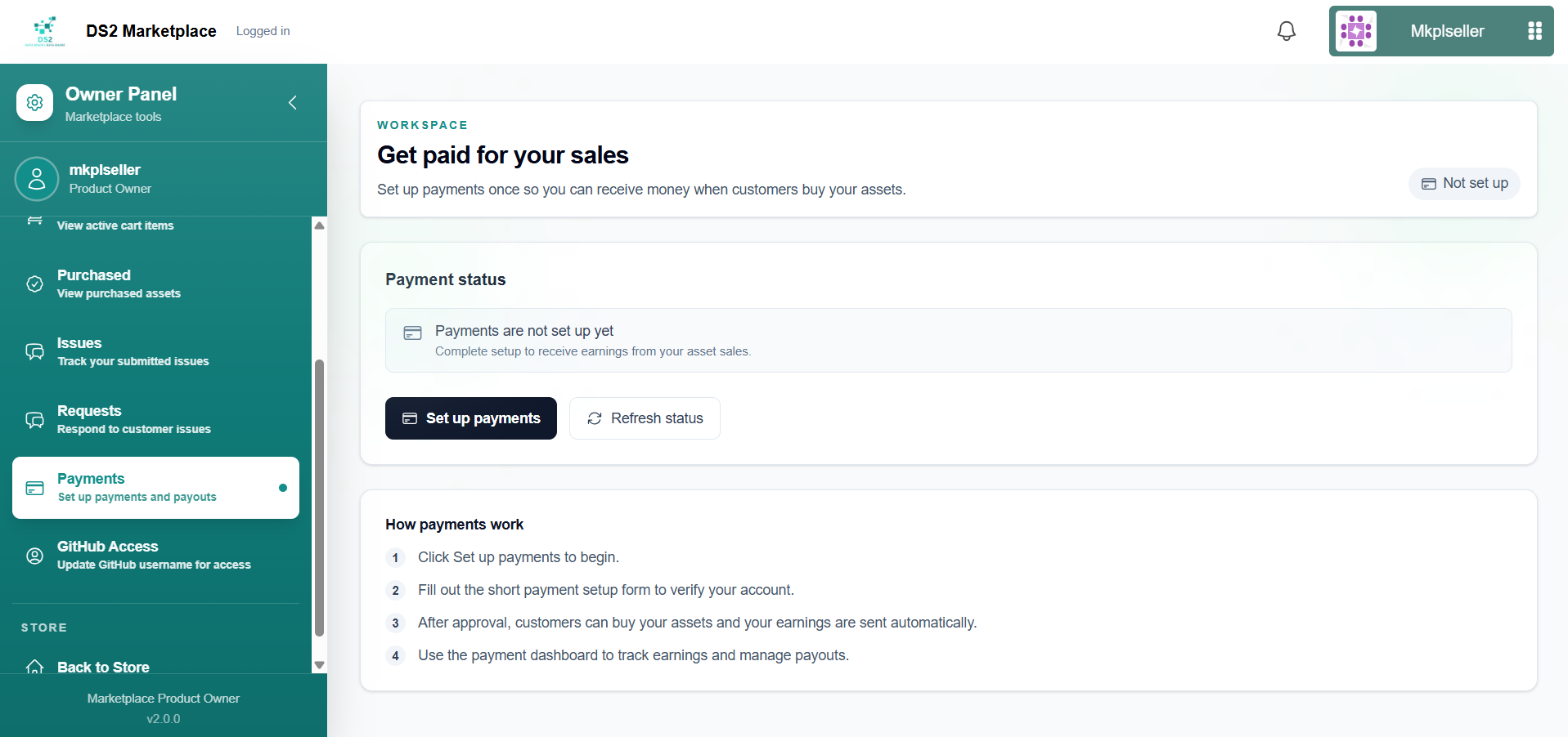 Payments page before setup, status "Not set up"